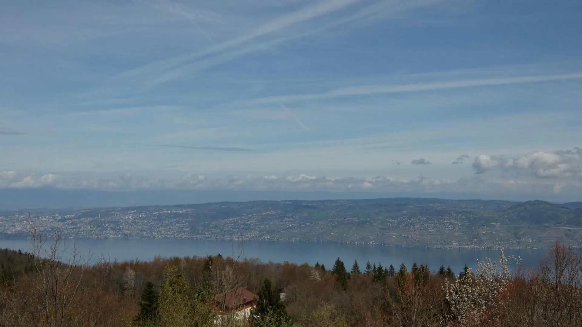 Studio Yeti Immobilier Apartment Thollon  Thollon-les-Memises